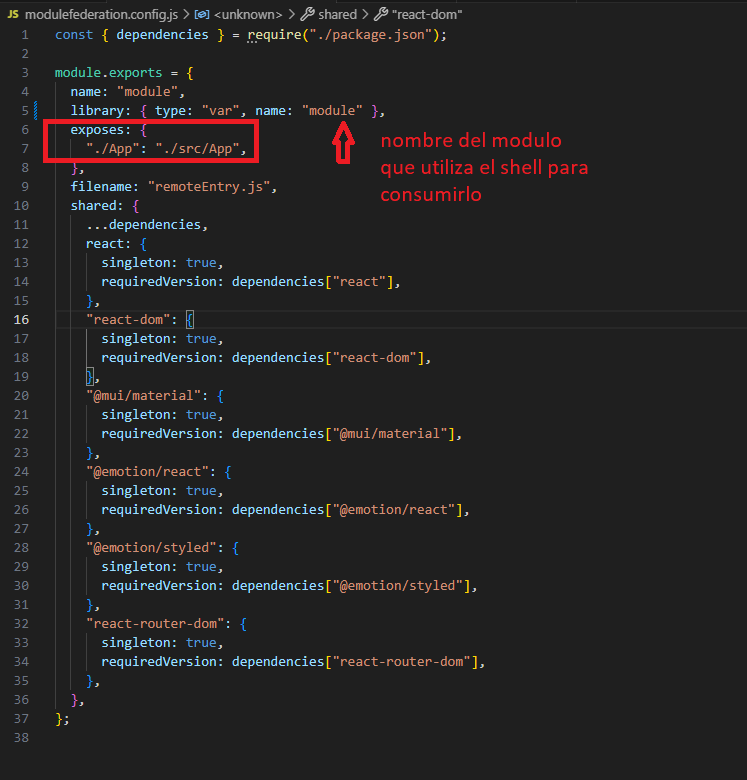 ModuleFederationModule